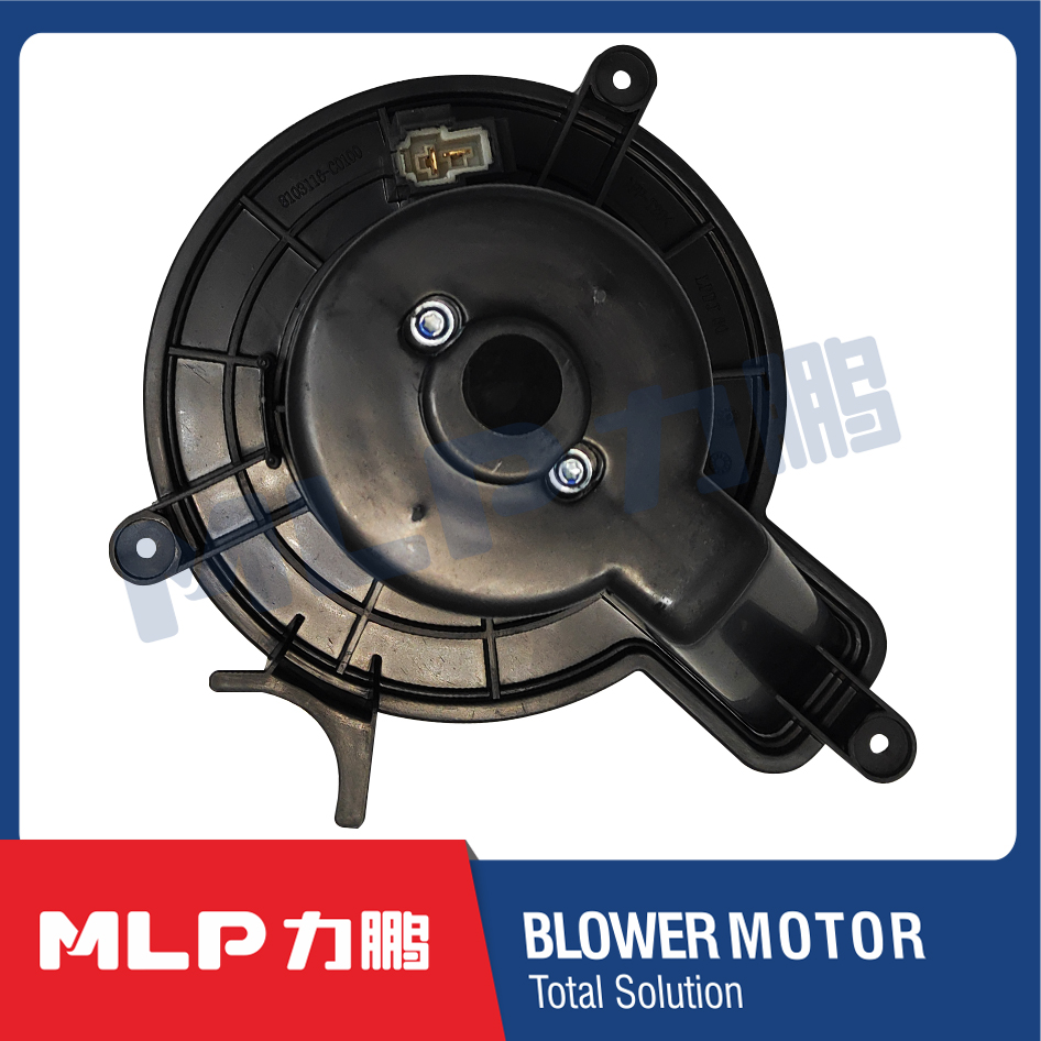 Blower motor -LP10-01