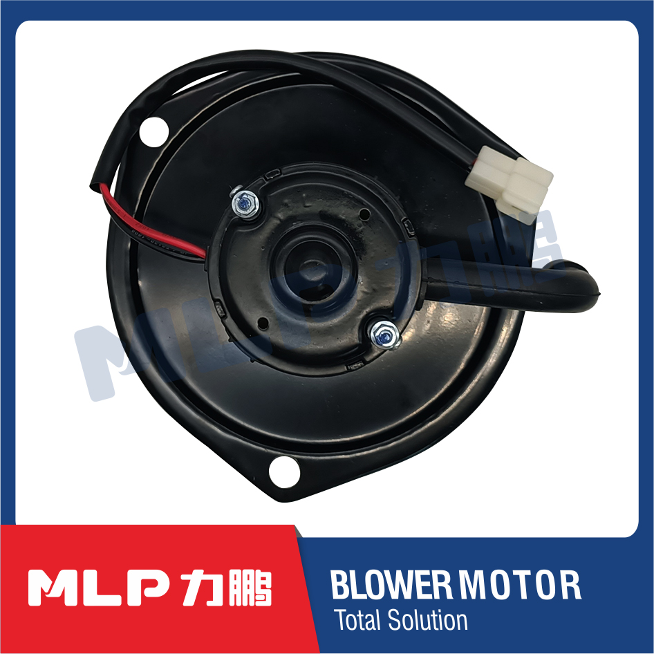 Blower motor -LP10-02