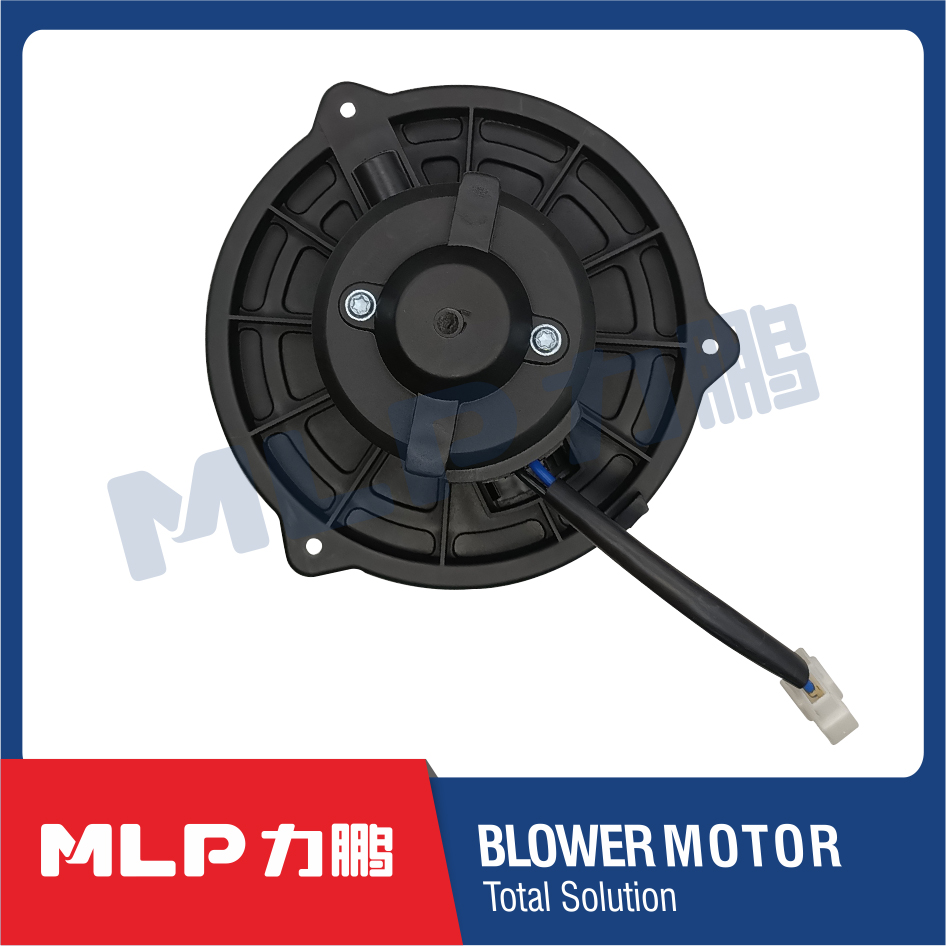 Blower motor -LP10-03