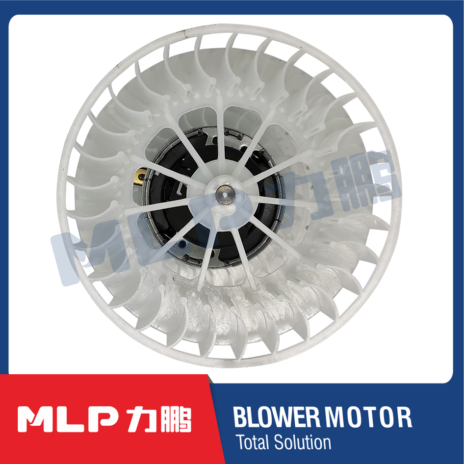 Blower motor -LP50-03