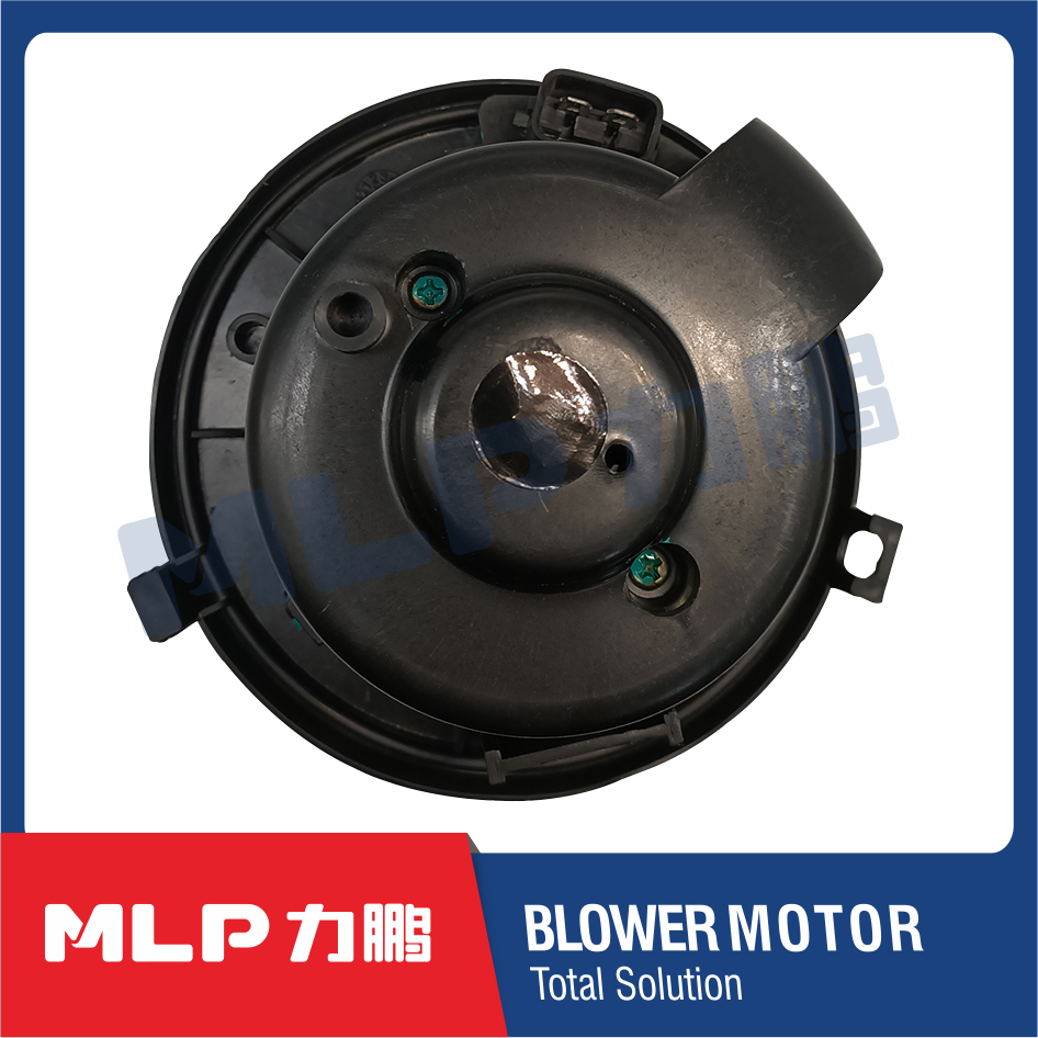 Blower motor -LP30-10